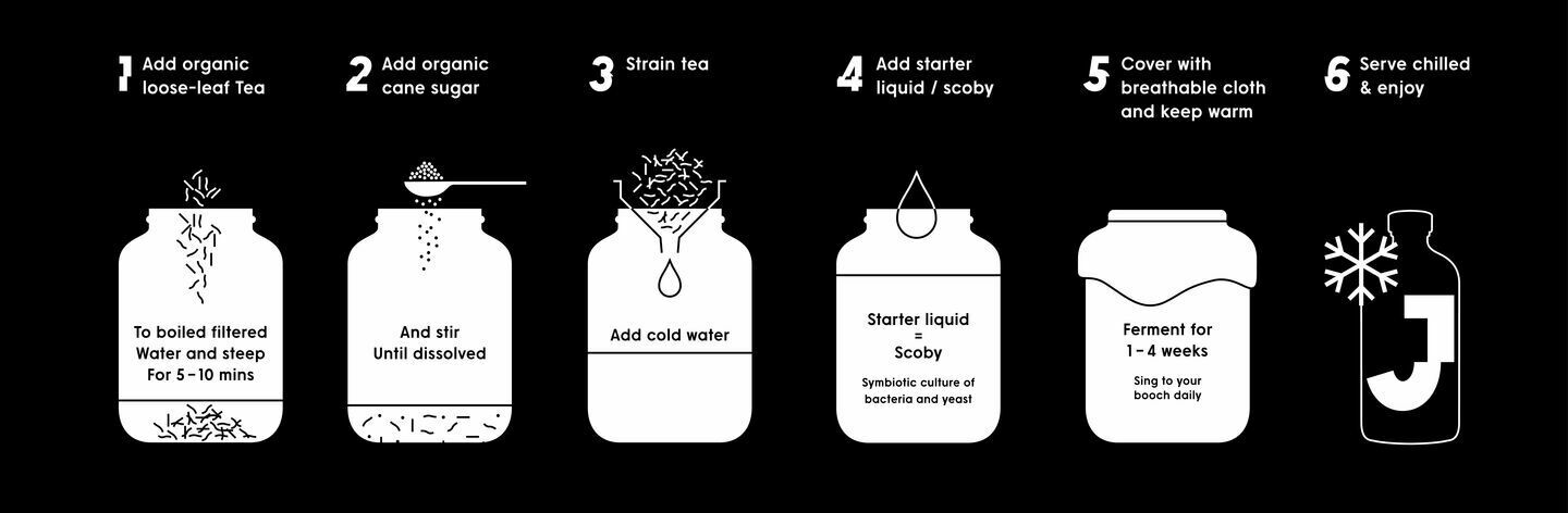 JARR What is Kombucha Illustrations 8fbbd73eebb24eff9b312ee005b30ebf