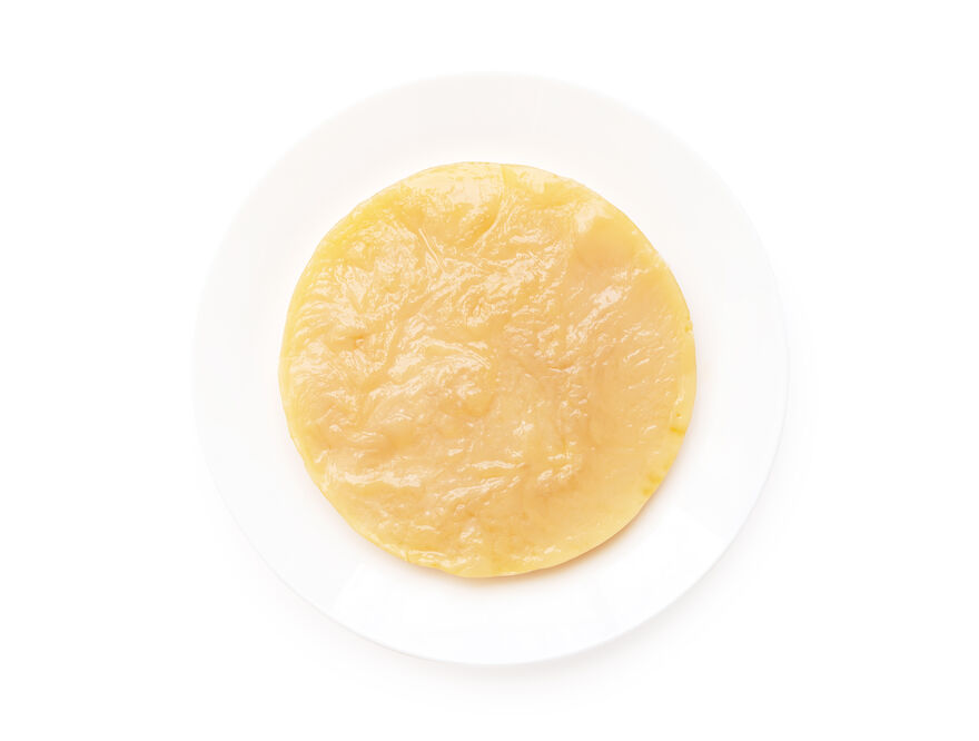 JARR Scoby Image